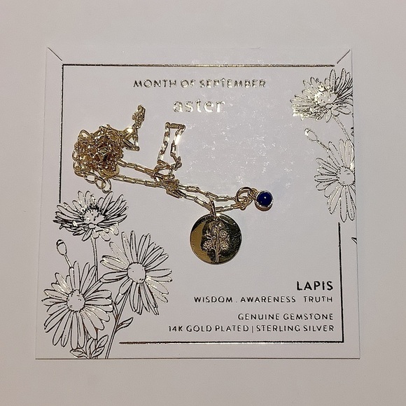 September Birthday Month Flower & Lapis Gem 14k Gold Plated Necklace New - Picture 1 of 4